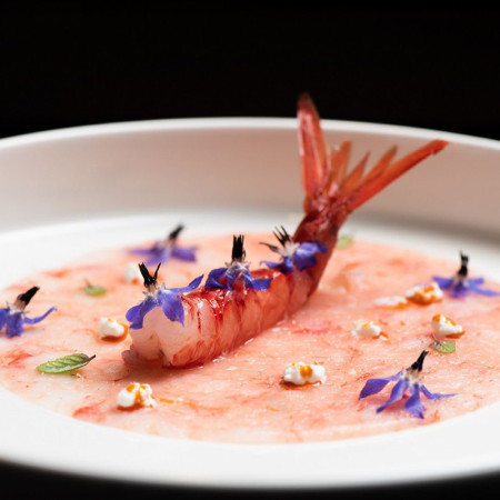 Gambero rosso carpaccio with colored sauces